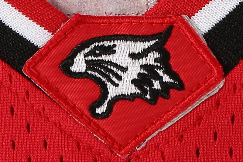 Camiseta Retrô de Basquete Troy Bolton